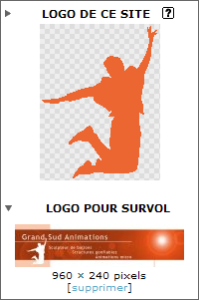 Exemple de logo et bannière d'un site
