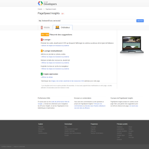 Google PageSpeed Insights Bureau 79/100