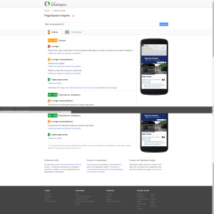 Google PageSpeed Insights Portable 74/100