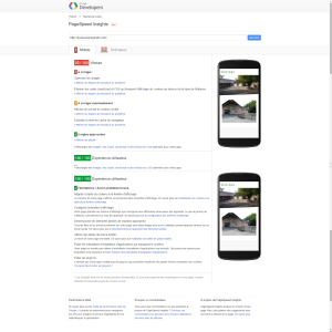Google PageSpeed Insights Portable 20/100