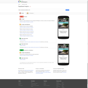 Google PageSpeed Insights Portable 64/100