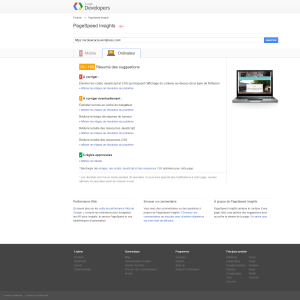 Google PageSpeed Insights Bureau 79/100