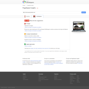 Google PageSpeed Insights Bureau 27/100
